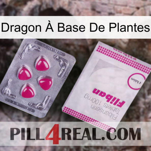 Dragon À Base De Plantes 32